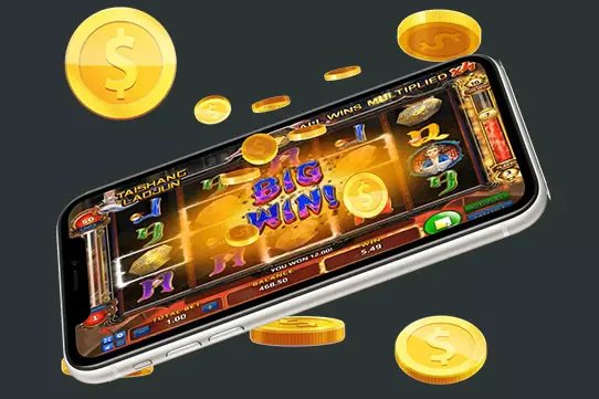 55 bet